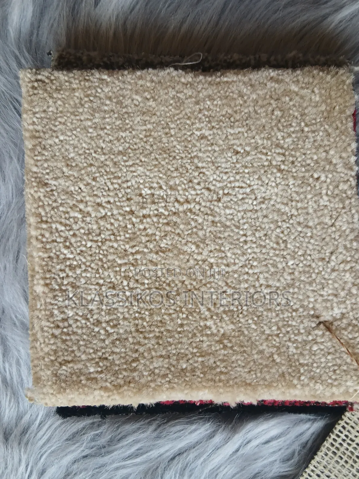 Carpet for Your Floor