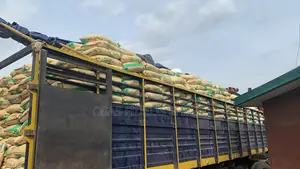 Chemical and Raw Materials