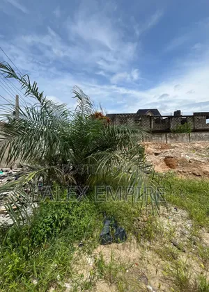 Half Plot of Land for Sale