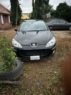Peugeot 407 2007 Green