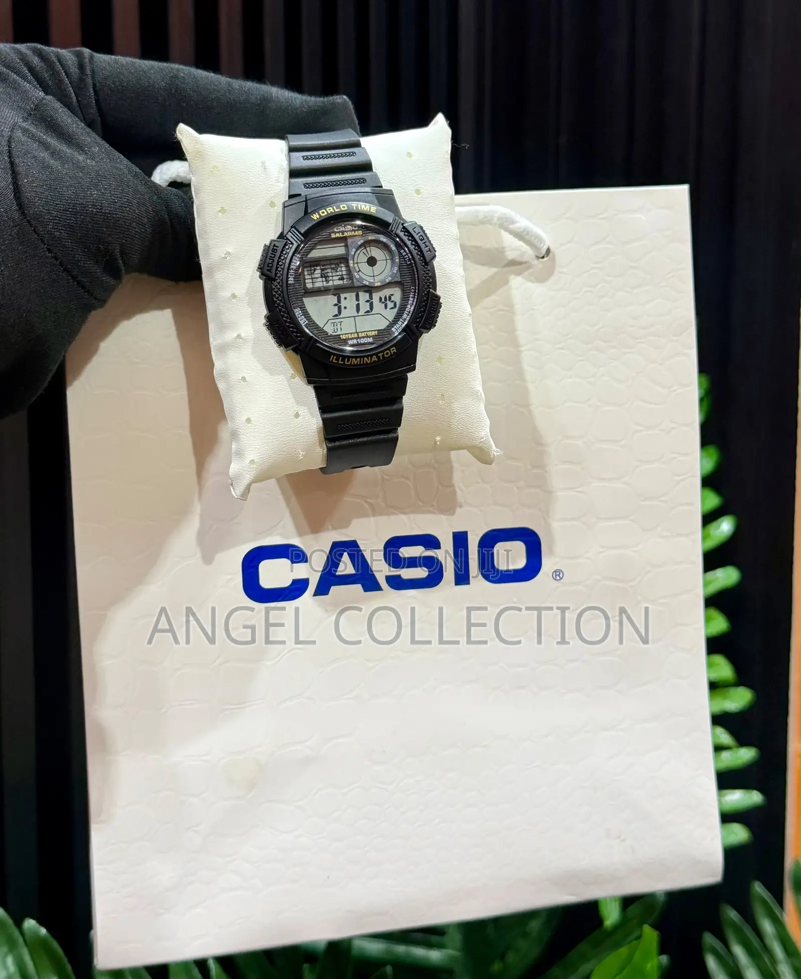 Casio Digital