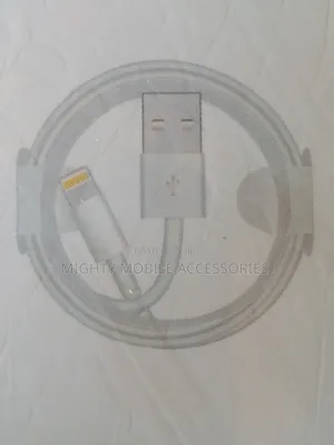 iPhone Xs Max Charger