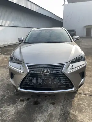 Lexus NX 300 AWD 2018 Silver