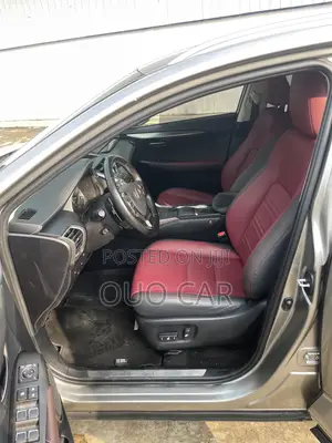 Lexus NX 300 AWD 2018 Silver