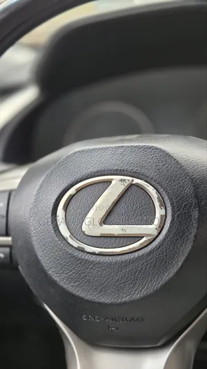 Lexus Steering Wheel Logo