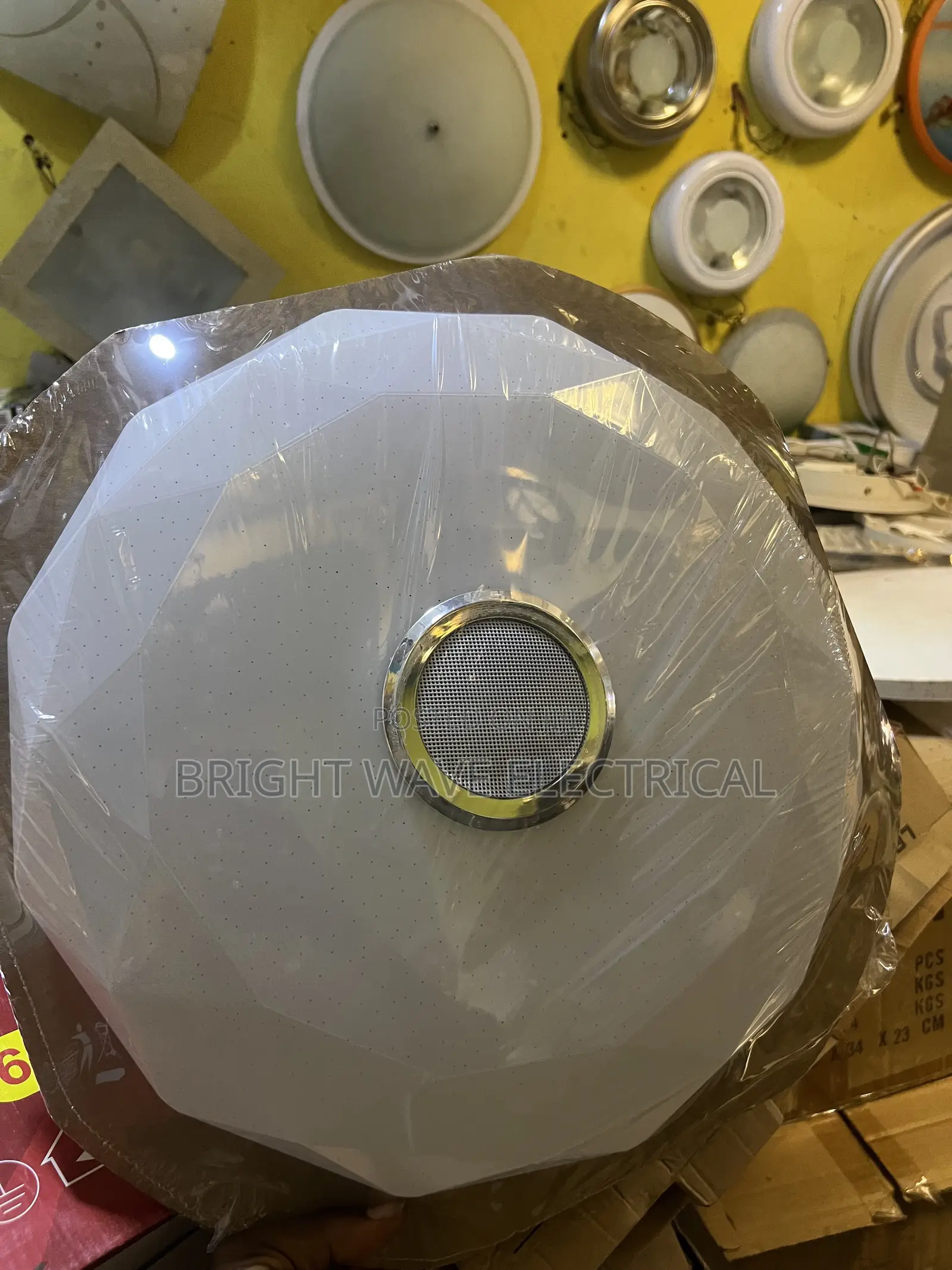 Ceiling Light With Speaker