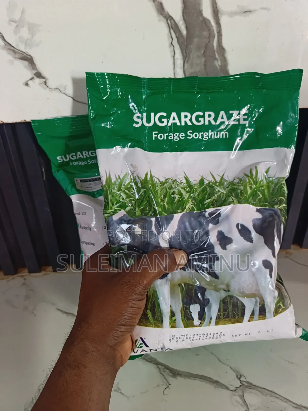 Sugargraze Seed