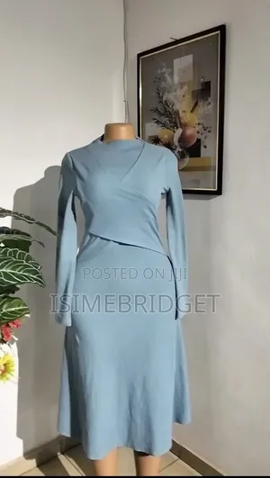 Elegant Ladies Thrift Dress