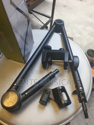 Gadget More Microphone Stand