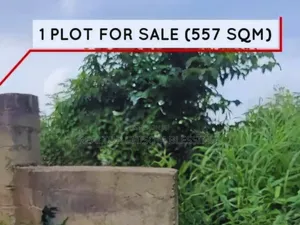 A Well Situated Plot in Umueze Ibeku Umuahia