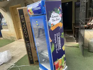 Premium Snowsea 258L Display Cooler