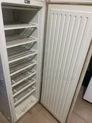 Standing Freezer