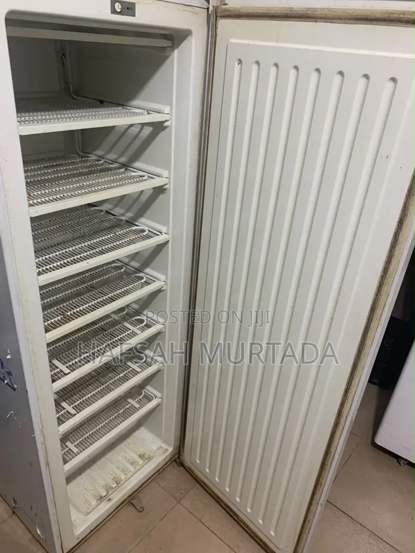 Standing Freezer