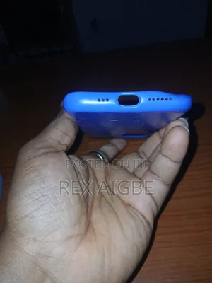 iPhone 11pro Pouch
