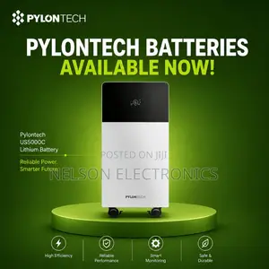 Pylontech Lithium Ion Batteries 16kwh 51.2 With 10 Years Warranty