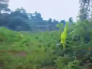 Massive 100 Plots for Sale in Ajata Ibeku Umuahia