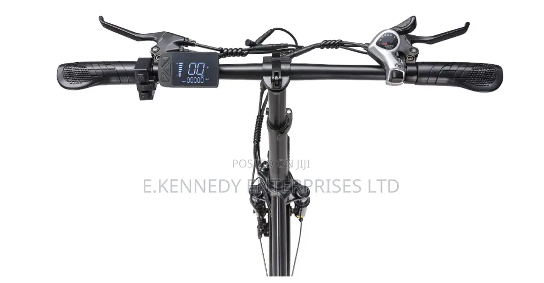 Big Foldable Electric E Bike Bicycle/Gears