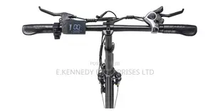 Big Foldable Electric E Bike Bicycle/Gears