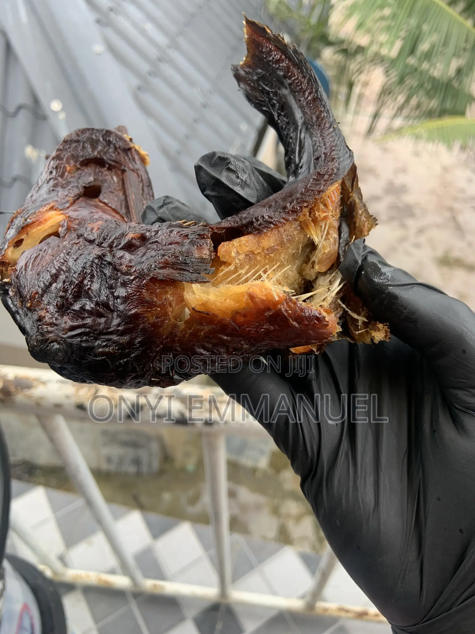 Smoked River Catfish