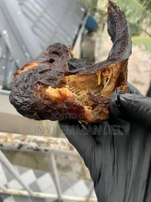 Smoked River Catfish