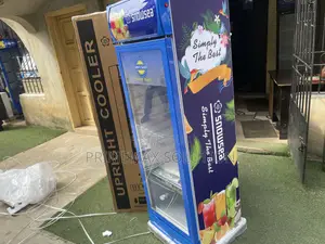 Snowsea Vertical Showcase Cooler Lc-300w– 258L Capacity