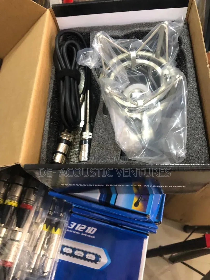 Very Affordable Behringer C12 Studio Condenser Microphone