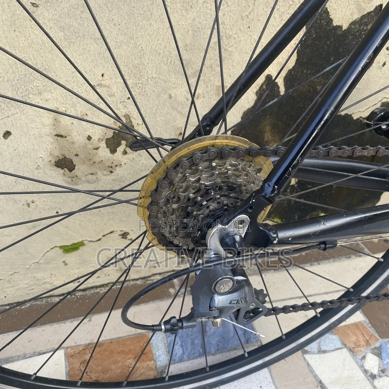 Professional 8 Speed Road Bike With Modern Shifters and Carbon Fork