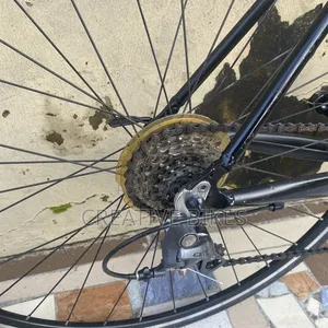 Professional 8 Speed Road Bike With Modern Shifters and Carbon Fork