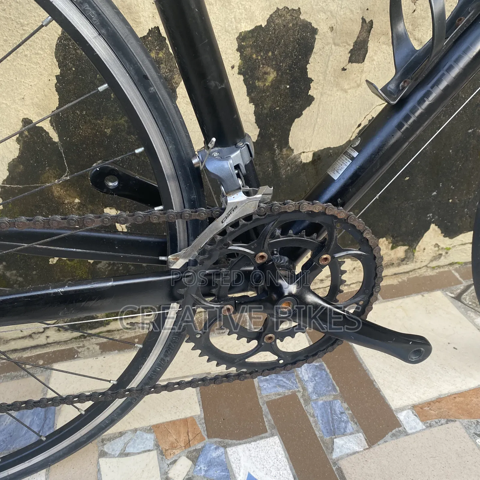 Professional 8 Speed Road Bike With Modern Shifters and Carbon Fork
