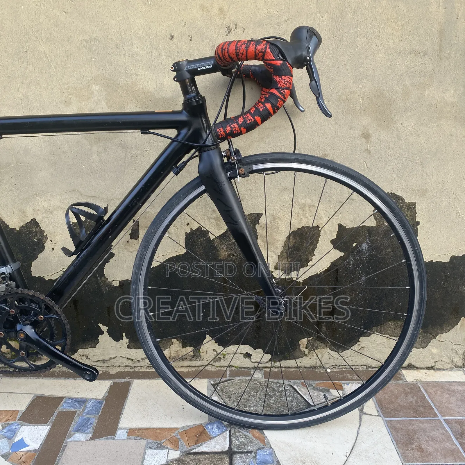 Professional 8 Speed Road Bike With Modern Shifters and Carbon Fork