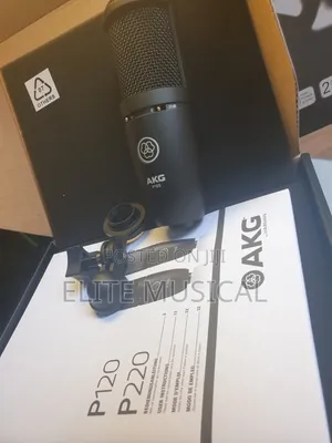 Professional AKG P120 Condenser Microphone