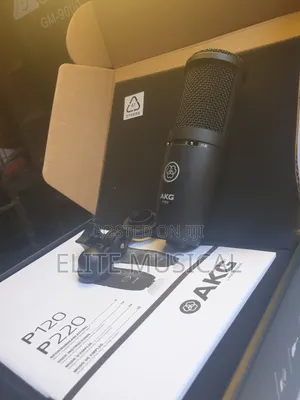 Professional AKG P120 Condenser Microphone
