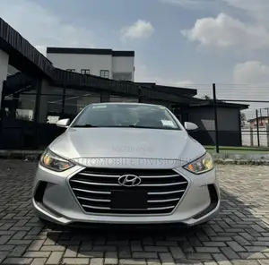 Hyundai Elantra Sport Sedan FWD (1.6L 4cyl 6M) 2017 Silver