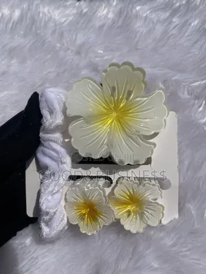 4 in 1 Floral Claw Clips and Scrunchie