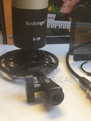 Professional Birdsinger B-99 Condenser Microphone
