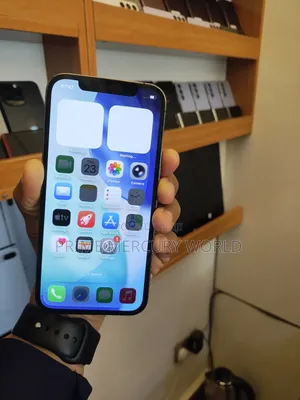 Apple iPhone 12 Pro 256 GB Gray