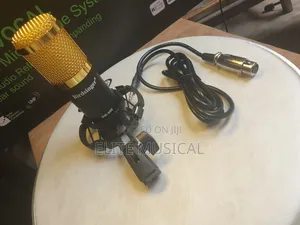 Professional Birdsinger BM-800 Condenser Mic