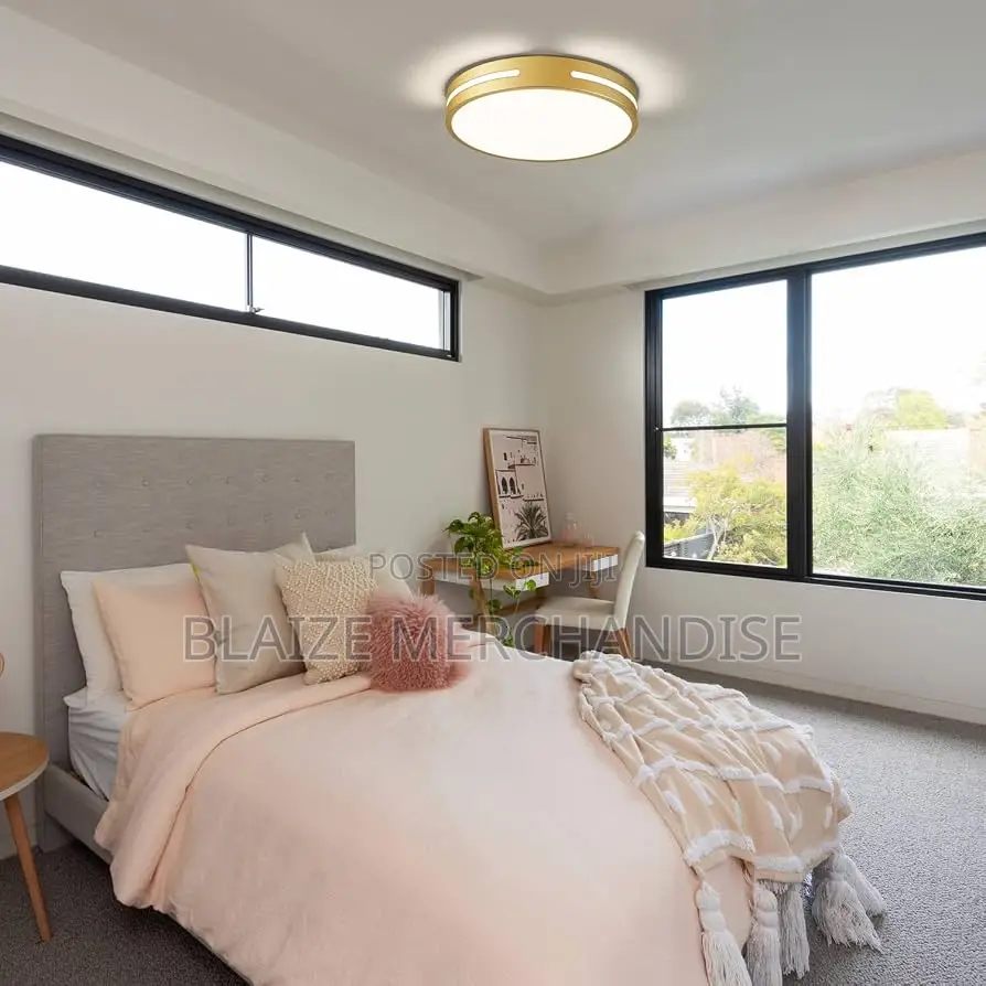 Modern Brushed Gold Flush Mount Ceiling Light LED Ceiling Light