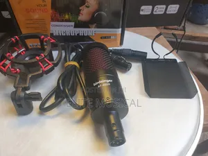 High Quality Birdsinger at-2020 Condenser Microphone