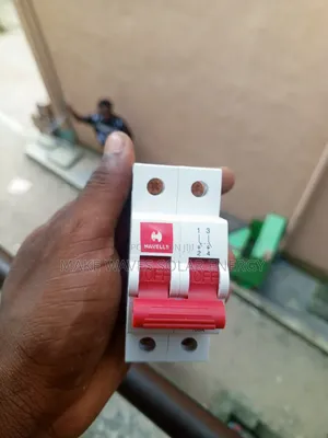 2p 100A Havell MCB Breaker