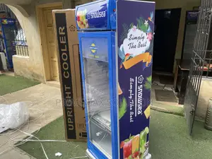 Snowsea 300L Commercial Display Chiller - Lc300w