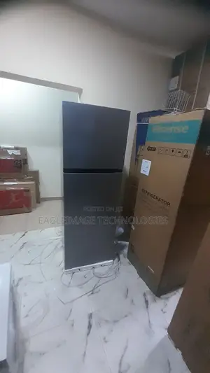 Hisense REF306DR Double Door Fridge for Shop Home Use