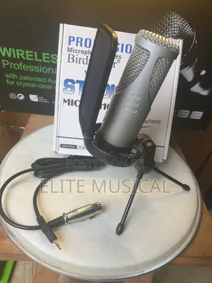 Quality Birdsinger v-2 Condenser Microphone