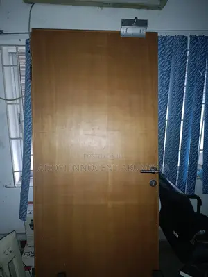 Sophisticated Foreign Wooden Doors