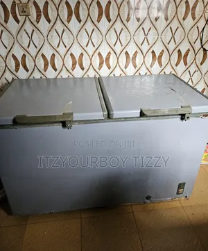 Double Door Freezer