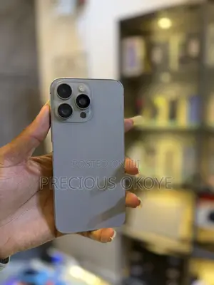 Apple iPhone 15 Pro Max 256 GB Gray