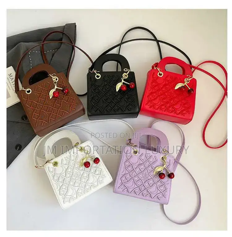 Lady Dior Bags
