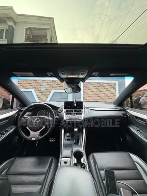 Lexus NX 2019 Gray