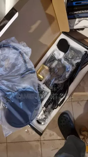 Professional Condenser Microphone