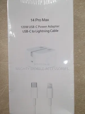 iPhone Charger